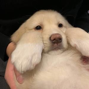 Meet your Posher, Tutu